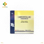 Ambimox 500mg
