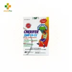 Cherifer PGM 10-22