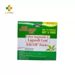 Ascof Forte 600mg Capsule 5-Day Cough Relief Pack (10+5)