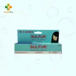 Dr. S. Wong Sulfur Oint 30g